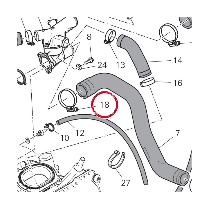 Collier 23-35 mm 74141881A — réf. 74141881A | Ducati Store