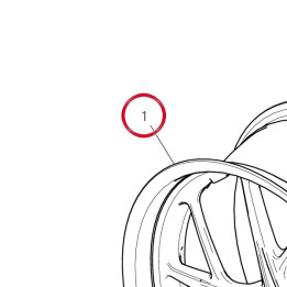 Jante roue ar. 50212181AA — réf. 50212181AA | Ducati Store