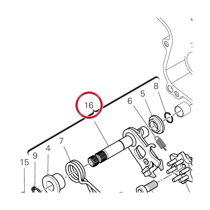 Arbre sélecteur de vitesses — réf. 18120064A | Ducati Store