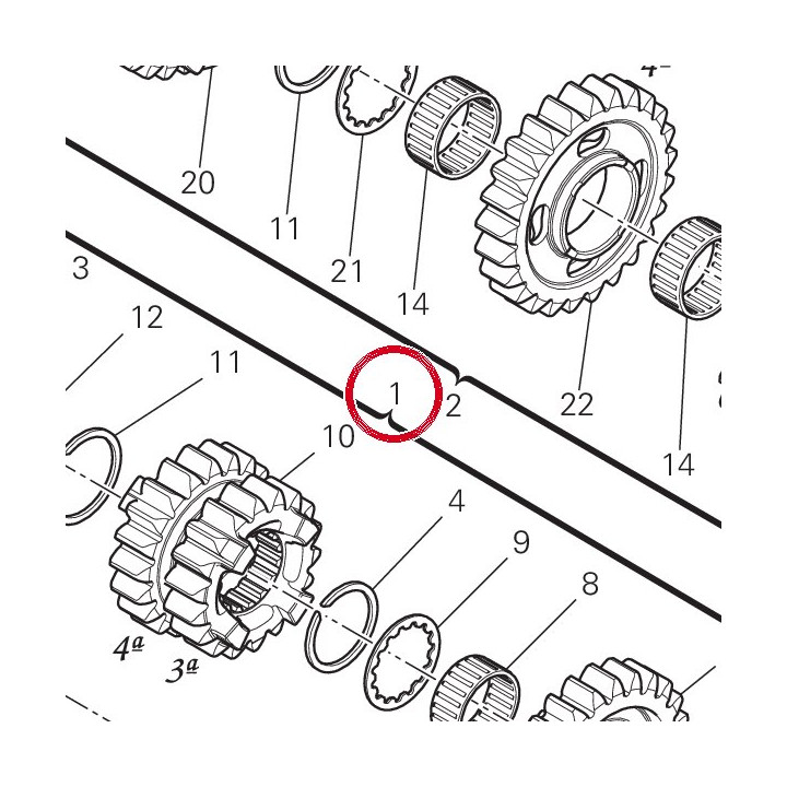 Arbre primaire complet — réf. 15021991A | Ducati Store