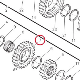 Engrenage conducteur 6Ème — réf. 17213202A | Ducati Store