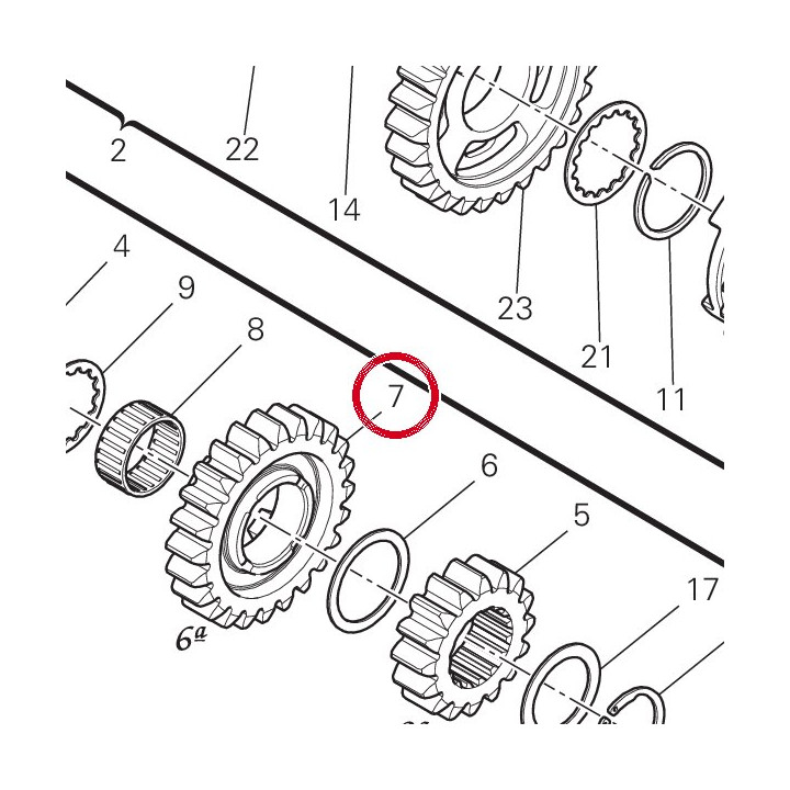 Engrenage conducteur 6Ème — réf. 17213202A | Ducati Store