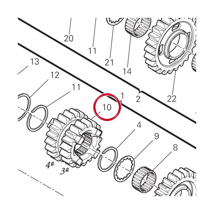 Engrenage conducteur — réf. 17213182A | Ducati Store
