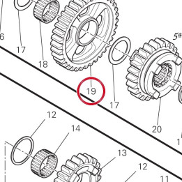 Engrenage entraine 1Ère — réf. 17213212A | Ducati Store