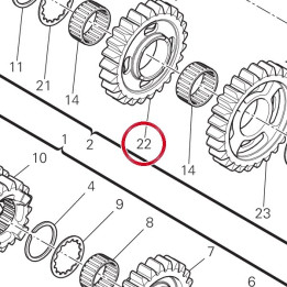 Engrenage entraine 4Ème — réf. 17213242A | Ducati Store