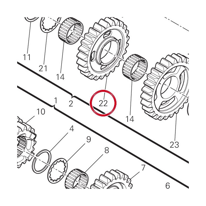 Engrenage entraine 4Ème — réf. 17213242A | Ducati Store
