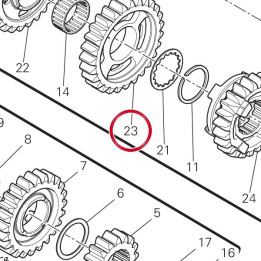Engrenage entraine 3Ème — réf. 17213232A | Ducati Store