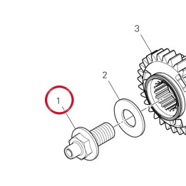Vis special 77916551C — réf. 77916551C | Ducati Store