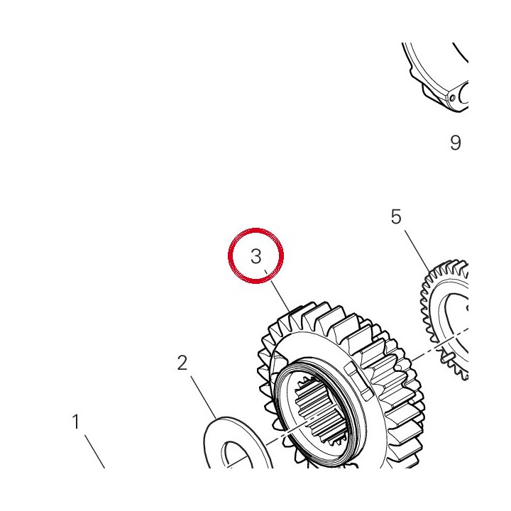 Pignon transmission — réf. 17011652A | Ducati Store