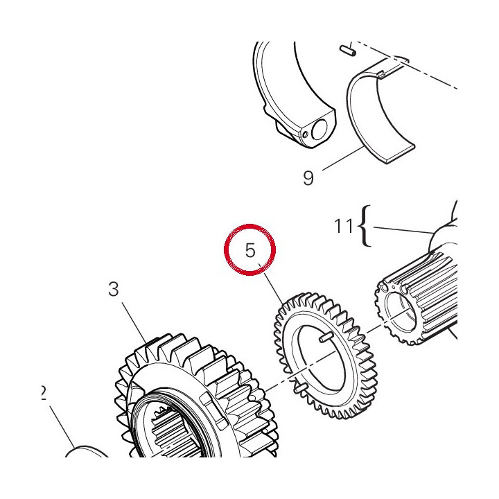 Engrenage conducteur pompe — réf. 17420581B | Ducati Store