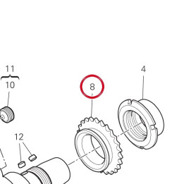 Pignon chaîne 17112361B — réf. 17112361B | Ducati Store