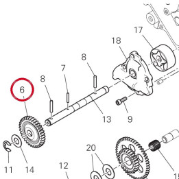 Engranage conduit pumpe — réf. 17410611A | Ducati Store