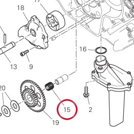 Roulement à rouleaux — réf. 70140371A | Ducati Store