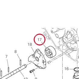 Pompe ╖ huile refoulement — réf. 17420561A | Ducati Store