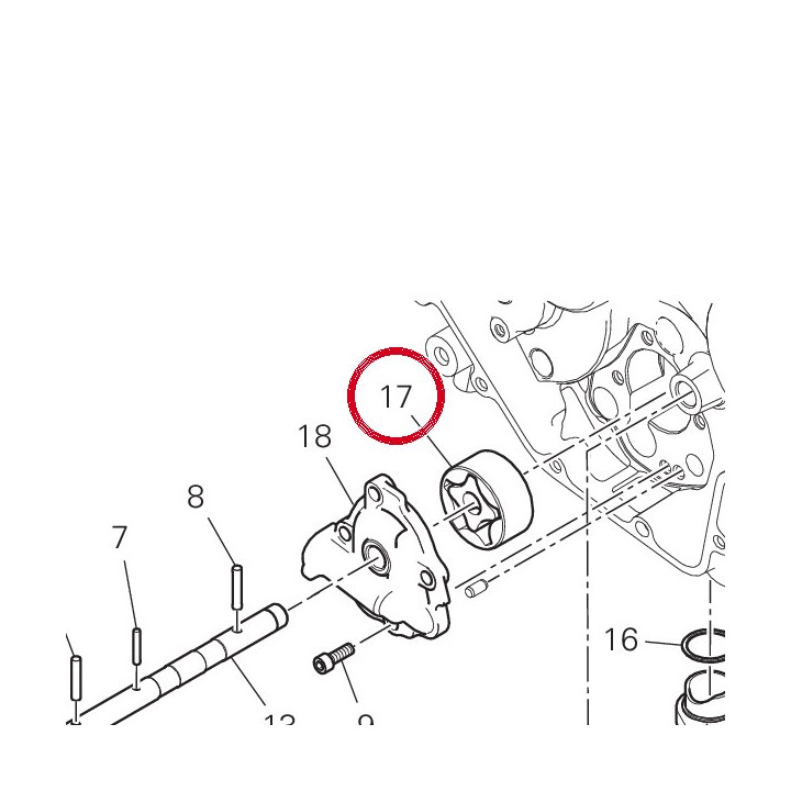 Pompe ╖ huile refoulement — réf. 17420561A | Ducati Store