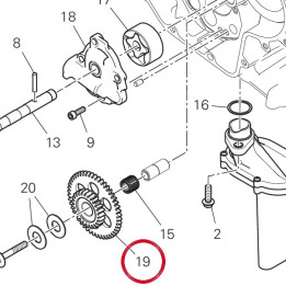 Pignon intermediaire — réf. 17410601A | Ducati Store