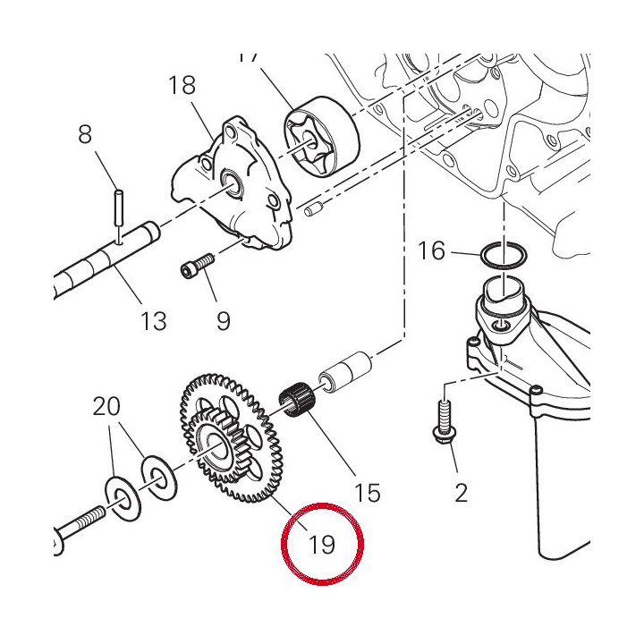 Pignon intermediaire — réf. 17410601A | Ducati Store