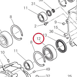 Roulement à rouleaux — réf. 70241091B | Ducati Store