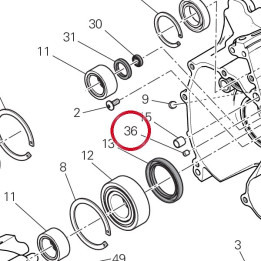 Douille 71115051A — réf. 71115051A | Ducati Store