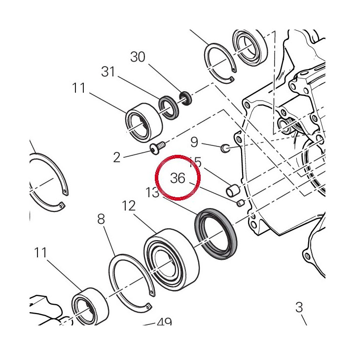 Douille 71115051A — réf. 71115051A | Ducati Store