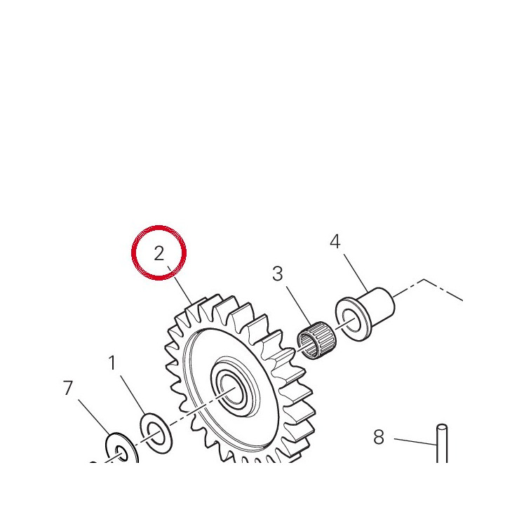 Engrenage pompe 17410511A — réf. 17410511A | Ducati Store