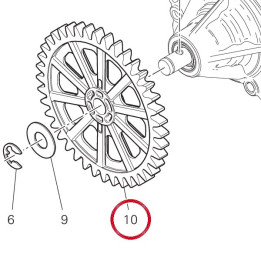 Engrenage pompe 17410501A — réf. 17410501A | Ducati Store