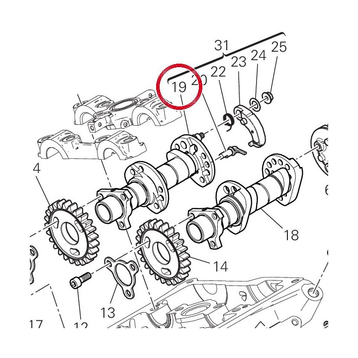 Arbre distribution — réf. 14824192C | Ducati Store