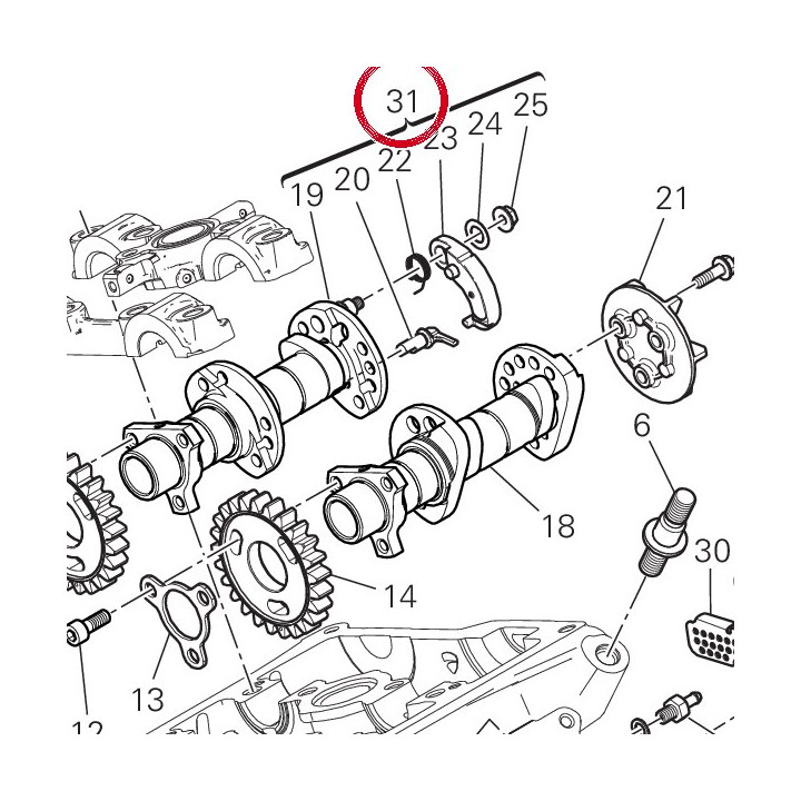 Arbre distribution — réf. 14824502C | Ducati Store