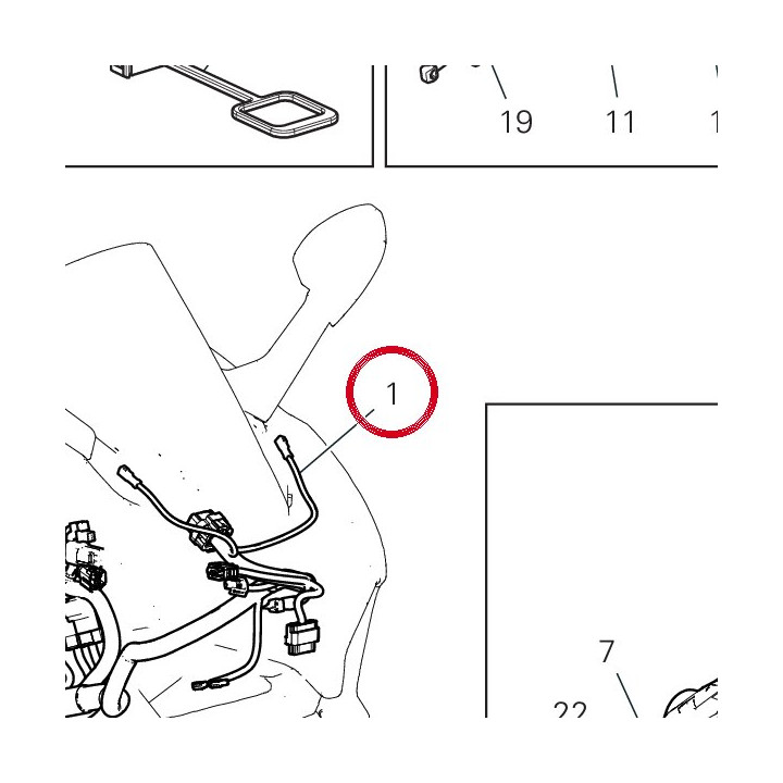 C╢blage principal 5101D691D — réf. 5101D691D | Ducati Store