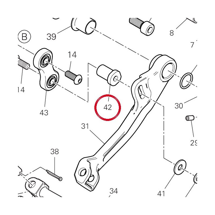 Douille cote alternateur — réf. 96211571AA | Ducati Store