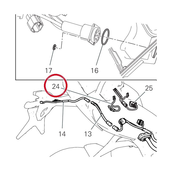 Extension, faisceau de fils — réf. 5101F311A | Ducati Store