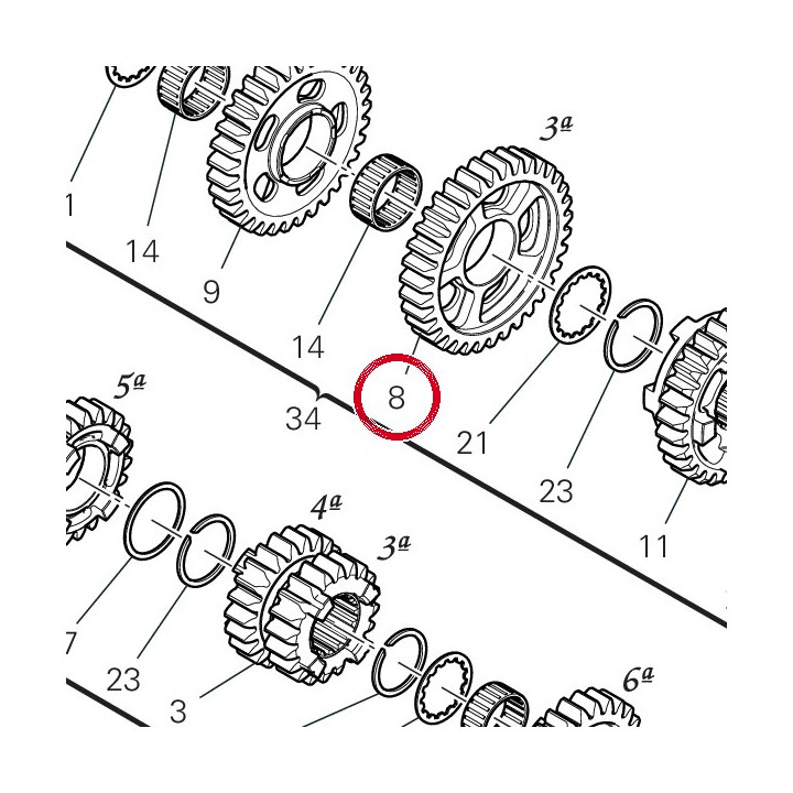 Engrenage entraine 3Ème — réf. 17216231A | Ducati Store