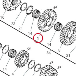 Engrenage entraine 4Ème — réf. 17216241A | Ducati Store
