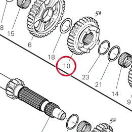 Engrenage entraine 5Ème — réf. 17216251A | Ducati Store