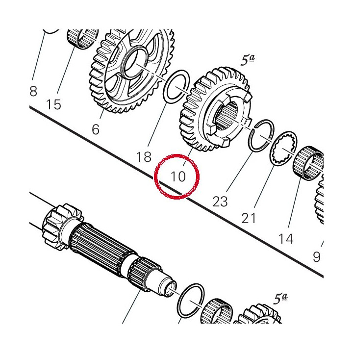 Engrenage entraine 5Ème — réf. 17216251A | Ducati Store