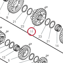 Engrenage entraine 6Ème — réf. 17216491A | Ducati Store