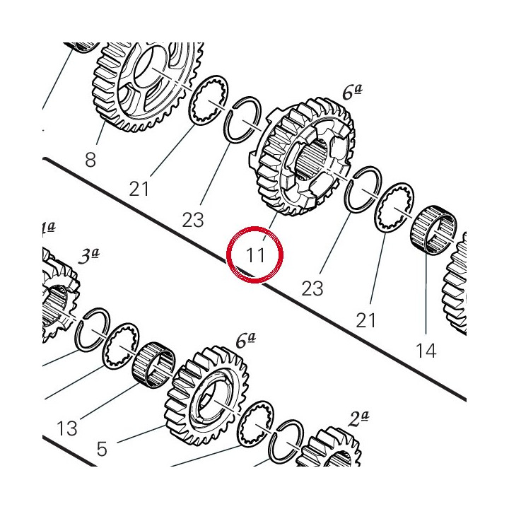 Engrenage entraine 6Ème — réf. 17216491A | Ducati Store