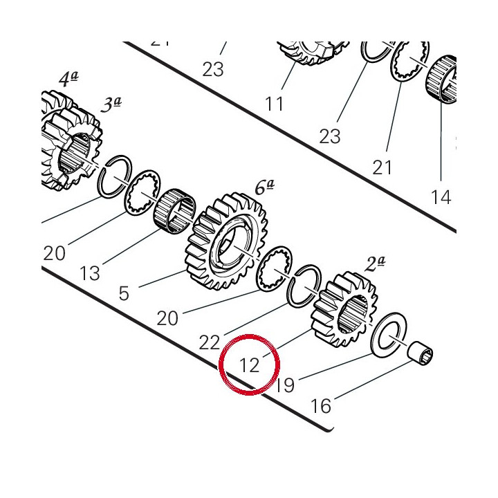 Engrenage conducteur 2Ème — réf. 17216451A | Ducati Store