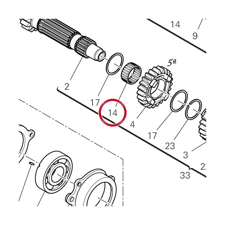Roulement à aiguilles — réf. 70140321A | Ducati Store