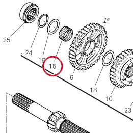 Roulement à aiguilles — réf. 70140331A | Ducati Store