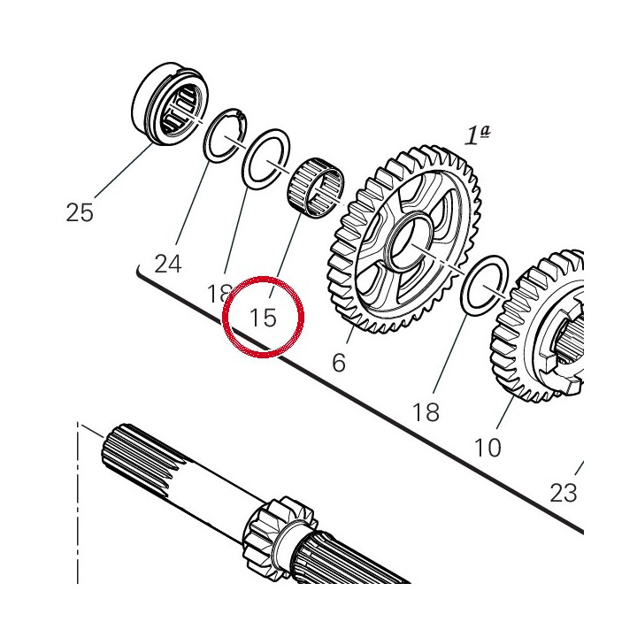 Roulement à aiguilles — réf. 70140331A | Ducati Store