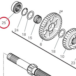 Roulement à aiguilles — réf. 70241761A | Ducati Store