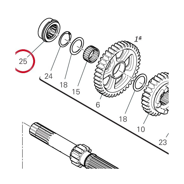Roulement à aiguilles — réf. 70241761A | Ducati Store