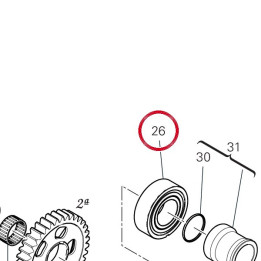 Roulement à rouleaux — réf. 70241781A | Ducati Store