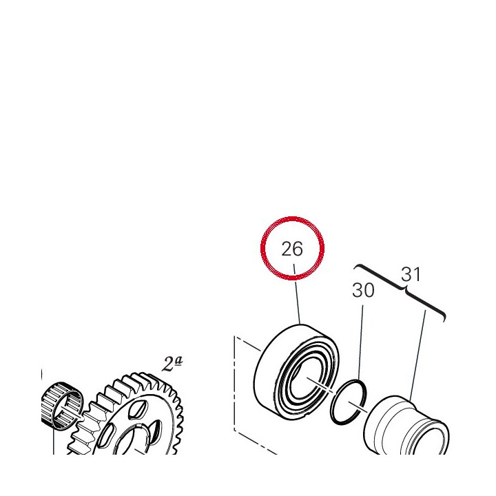 Roulement à rouleaux — réf. 70241781A | Ducati Store