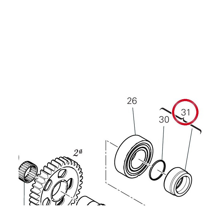 Entretoise pignon chaîne — réf. 713P0011C | Ducati Store