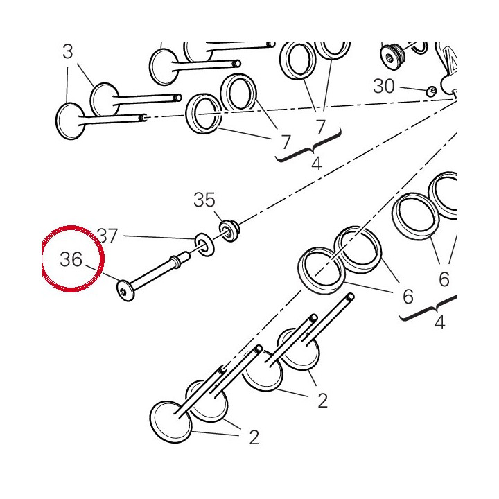 Vis special 7791B491A — réf. 7791B491A | Ducati Store
