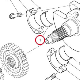 Demi-Roulement vert — réf. 11210961AE | Ducati Store