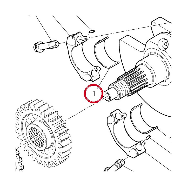 Demi-Roulement vert — réf. 11210961AE | Ducati Store
