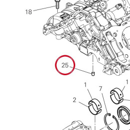Vis sans tête filetée — réf. 77810221B | Ducati Store